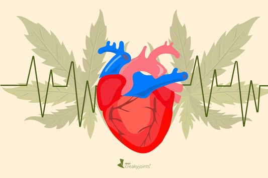Marijuana Use and Heart Disease: Understanding the Potential Risks