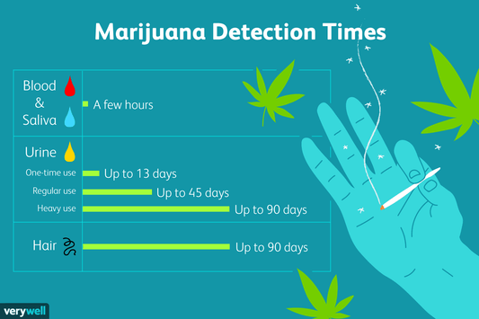 How Long Does Weed Stay in Your Blood Stream?